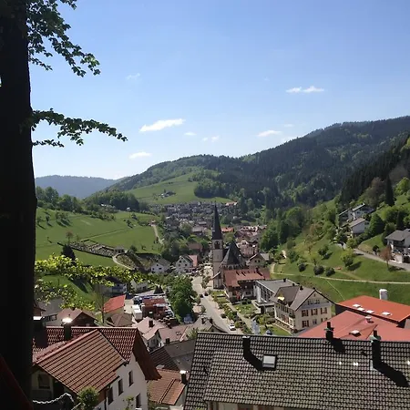 Apartment Ferienwohnung Dollenbergblick *