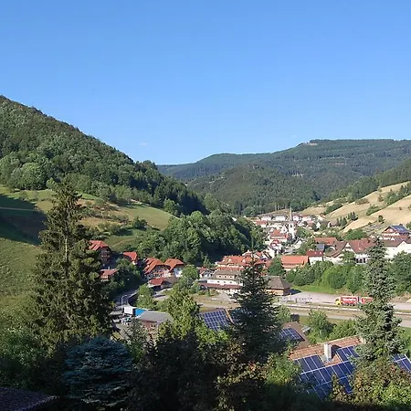 Apartment Ferienwohnung Dollenbergblick Bad Peterstal-Griesbach