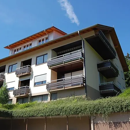 Apartment Ferienwohnung Dollenbergblick