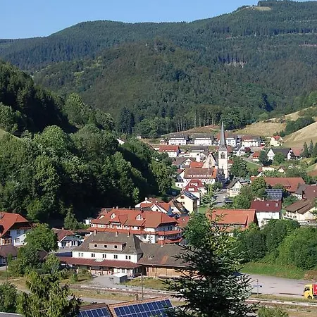 Ferienwohnung Dollenbergblick Apartment Bad Peterstal-Griesbach